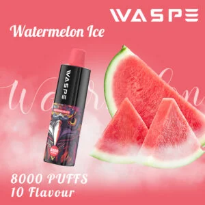 WASPE 8000 PUFFS 0% 2% 3% 5% Vente en gros de vape jetable à la nicotine - RiftVape - 13